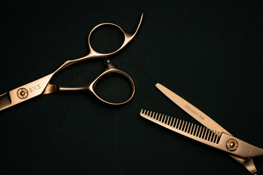 The Latest Trends and Developments in the Barbering Industry