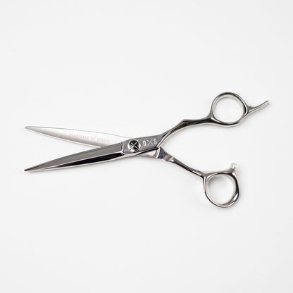 The Pizarro